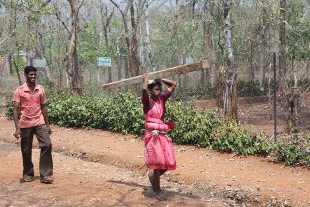 Daily picdump (127 pics)