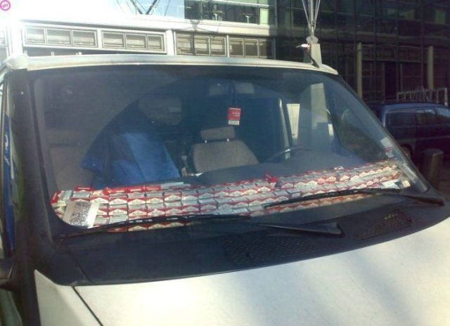 Daily picdump (127 pics)