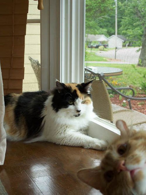 How to spoil a photo. Part 3 (32 pics)