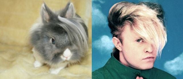 Daily picdump (138 pics)