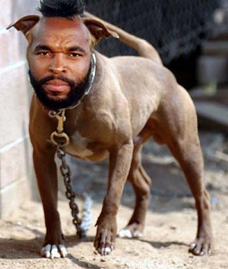 Daily picdump (138 pics)