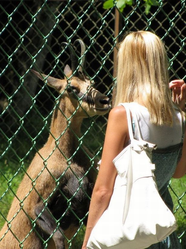 Daily picdump (107 pics)