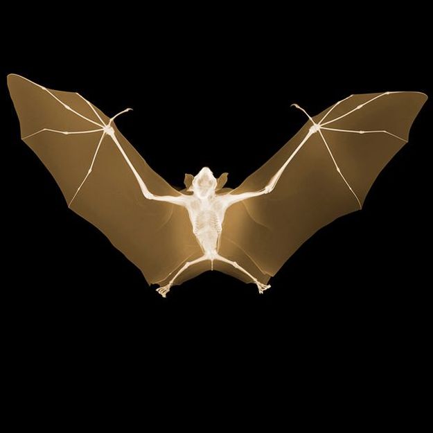 Daily picdump (107 pics)