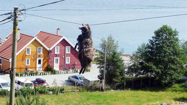 Curiosities and bonus pictures