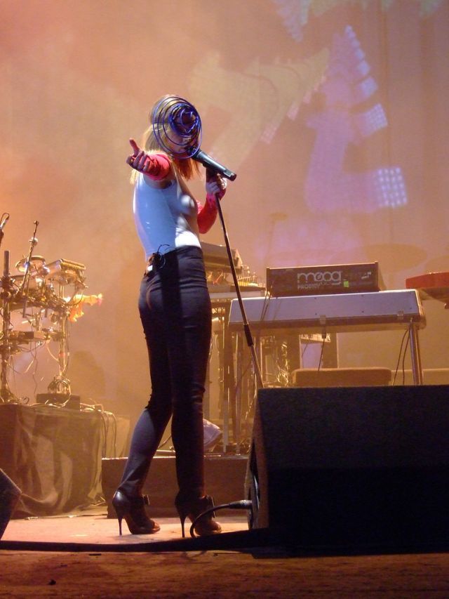 Lady Gaga vs Roisin Murphy (39 pics)