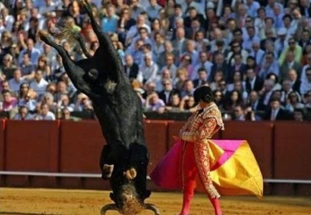 Shit happens. Part 2 (65 pics)