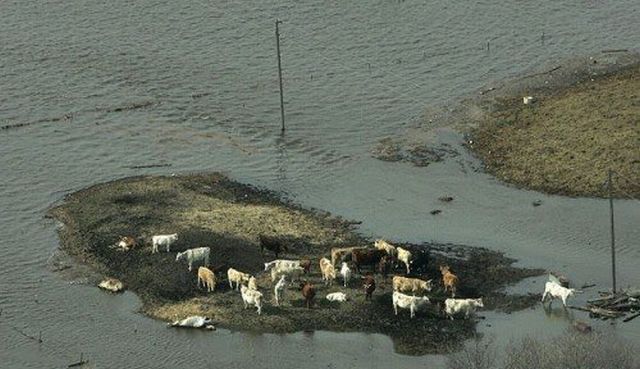 Shit happens. Part 2 (65 pics)