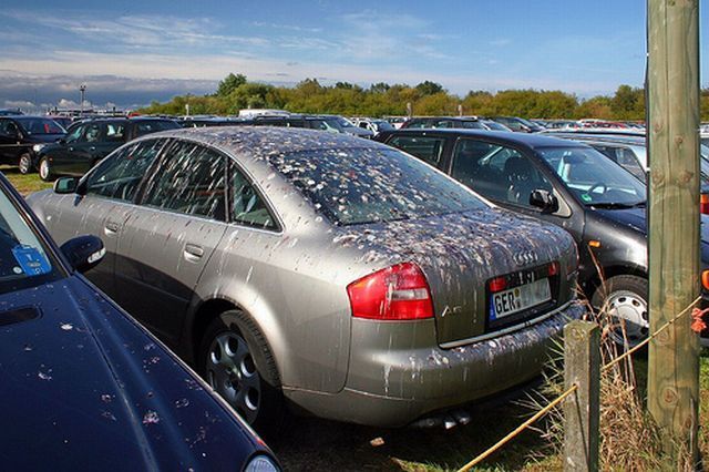 Shit happens. Part 2 (65 pics)