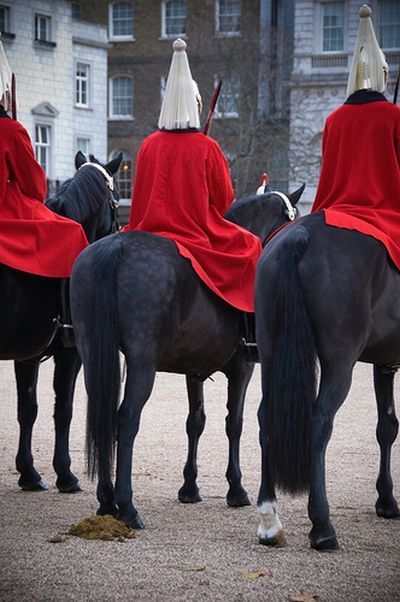 Shit happens. Part 2 (65 pics)