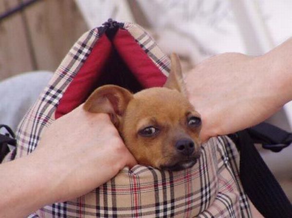 Daily picdump (107 pics)