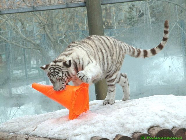 Daily picdump (107 pics)