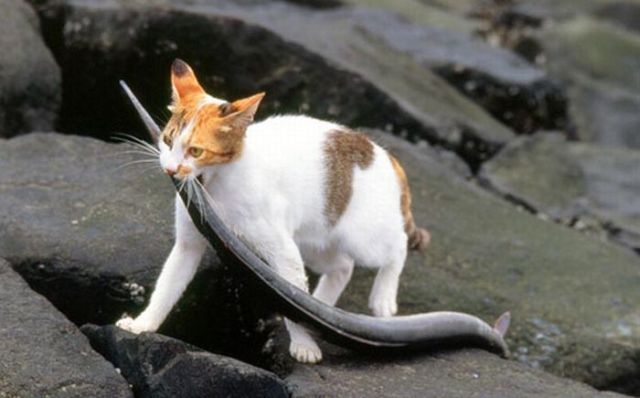 Daily picdump (107 pics)