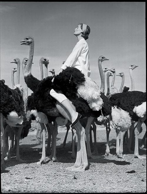 Daily picdump (107 pics)