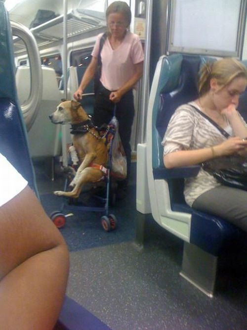 Daily picdump (107 pics)