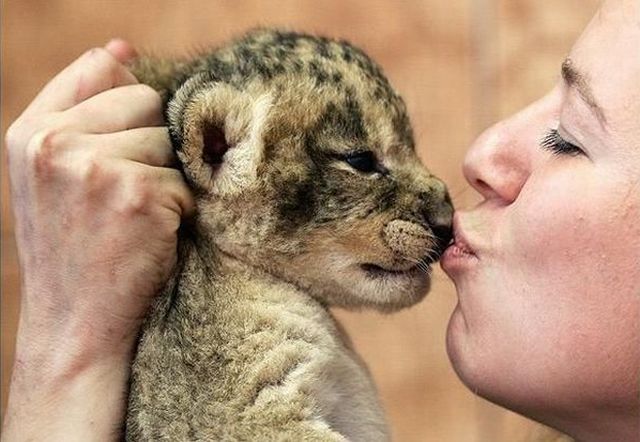 Daily picdump (153 pics)