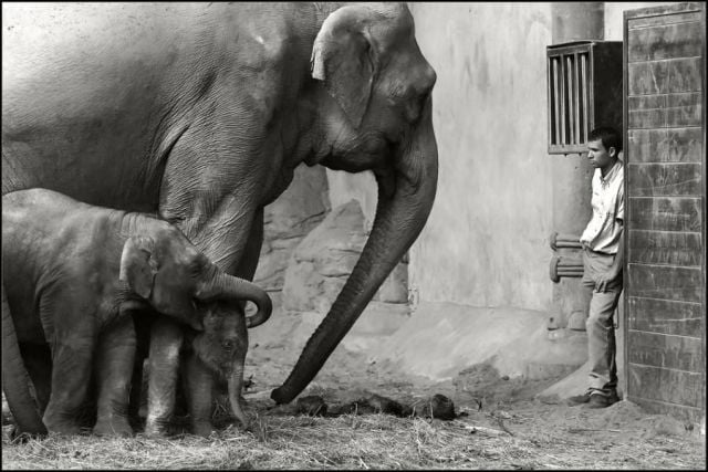 Daily picdump (153 pics)