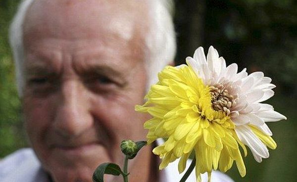 Daily picdump (153 pics)