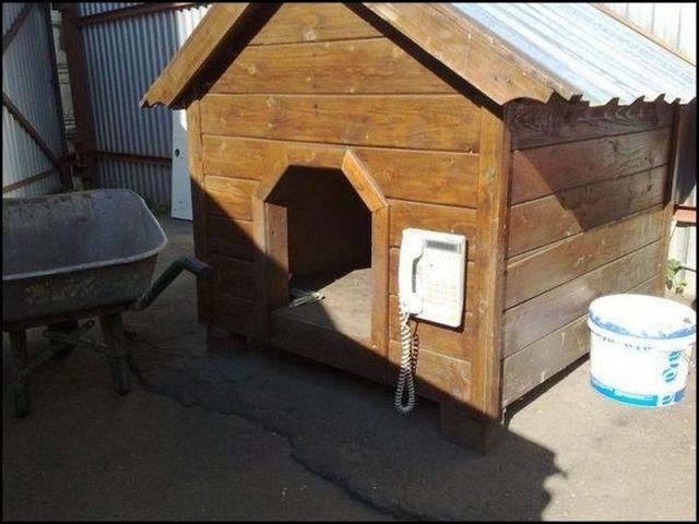 Daily picdump (121 pics)