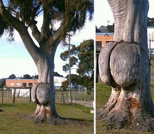 Daily picdump (121 pics)