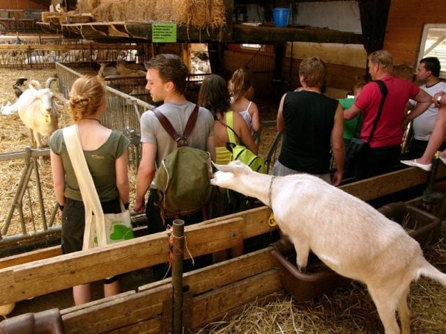 Daily picdump (121 pics)