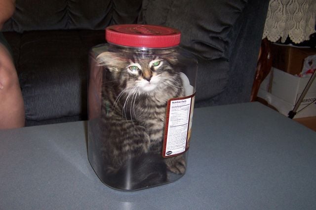 Daily picdump (121 pics)