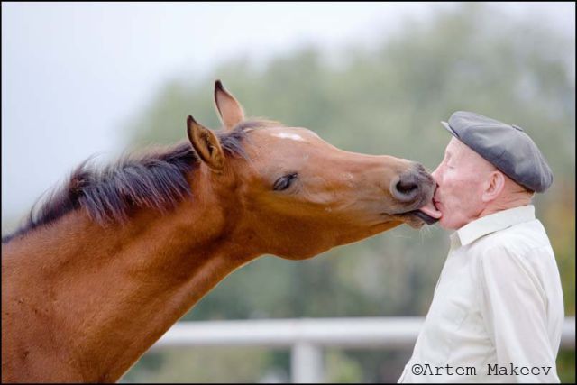 Daily picdump (121 pics)