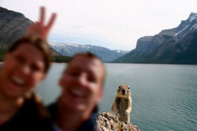 Daily picdump (121 pics)