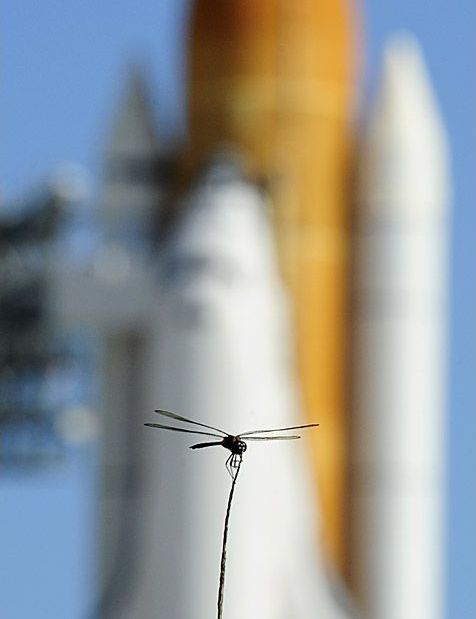 Daily picdump (121 pics)