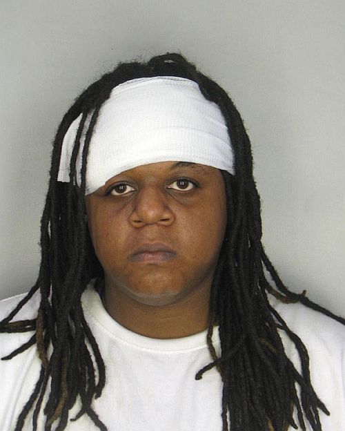 Fresh collection of mug shots (14 pics)