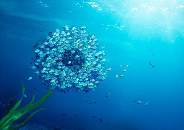 Beautiful works of Christopher Gilbert (120 pics)