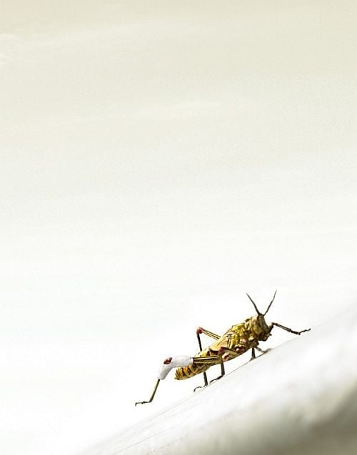 Beautiful works of Christopher Gilbert (120 pics)