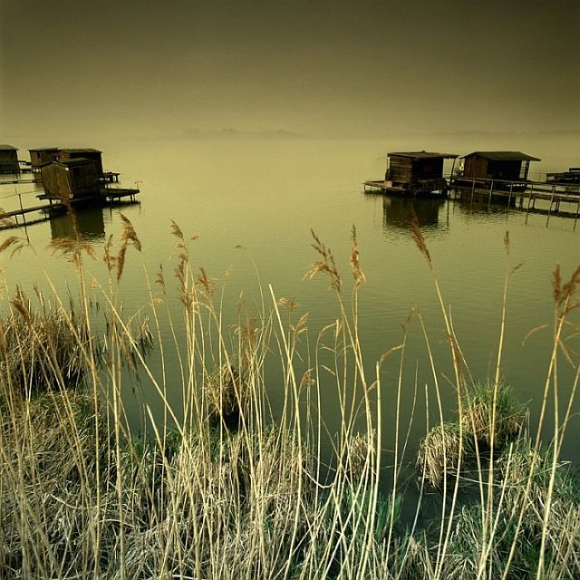 Beautiful works of Christopher Gilbert (120 pics)