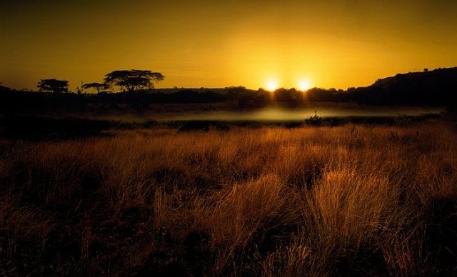 Beautiful works of Christopher Gilbert (120 pics)