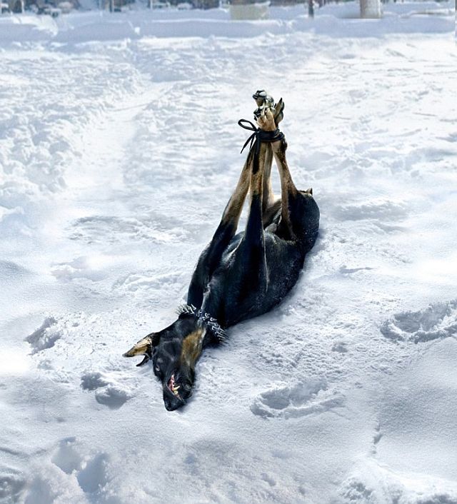 Beautiful works of Christopher Gilbert (120 pics)