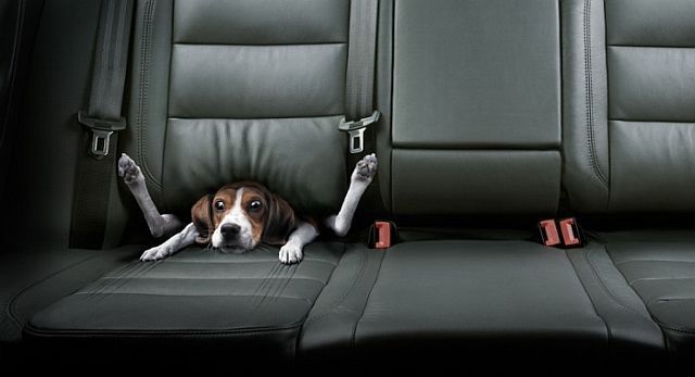 Beautiful works of Christopher Gilbert (120 pics)