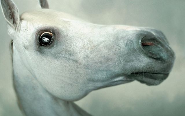 Beautiful works of Christopher Gilbert (120 pics)