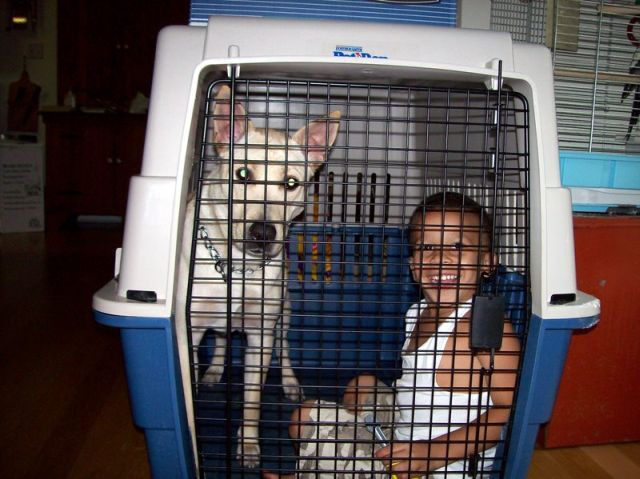 Children in cages (30 pics)