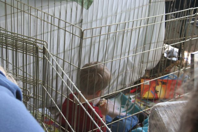 Children in cages (30 pics)