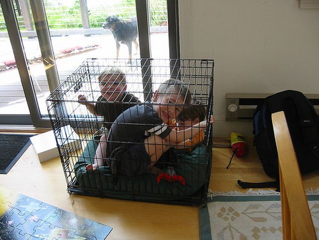 Children in cages (30 pics)