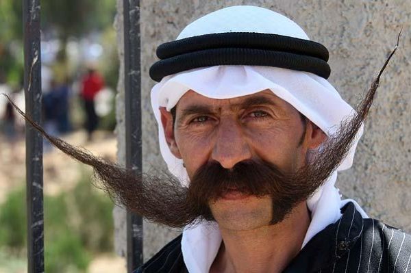 Daily picdump (149 pics)