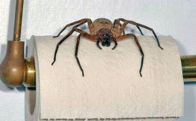 Daily picdump (149 pics)