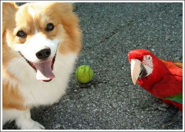 Daily picdump (149 pics)