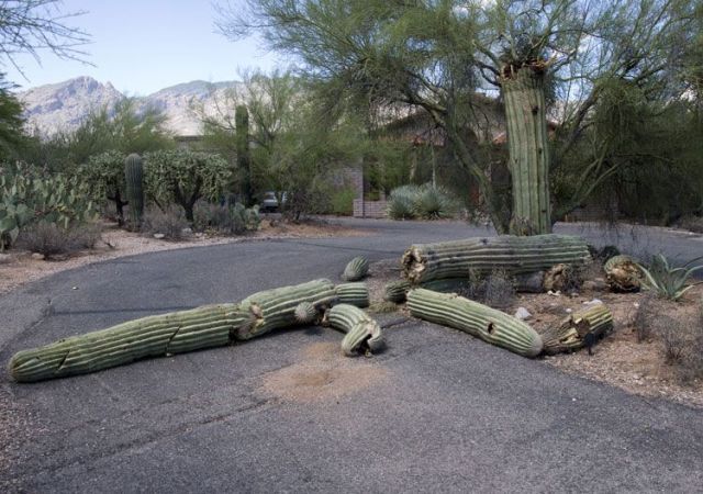 Daily picdump (149 pics)