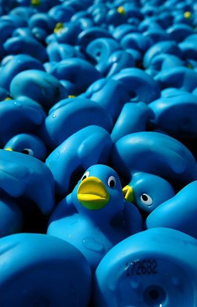 Daily picdump (149 pics)