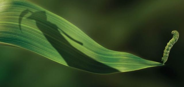 Daily picdump (149 pics)