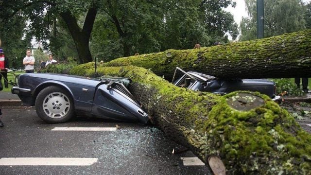 Pictures sent by users (53 pics)