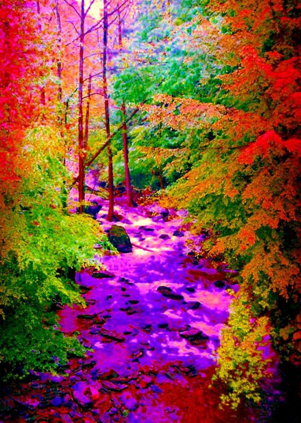 Pictures sent by users (53 pics)