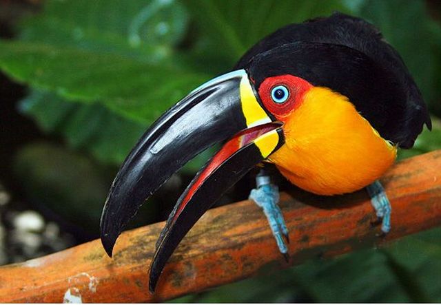 Pictures sent by users (53 pics)