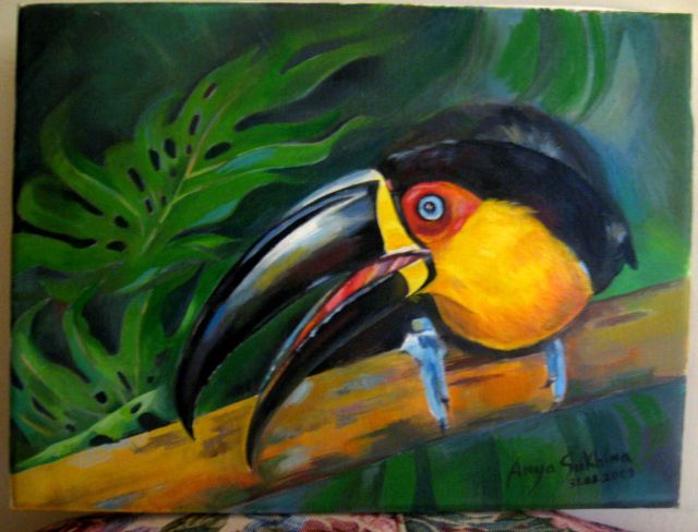 Pictures sent by users (53 pics)