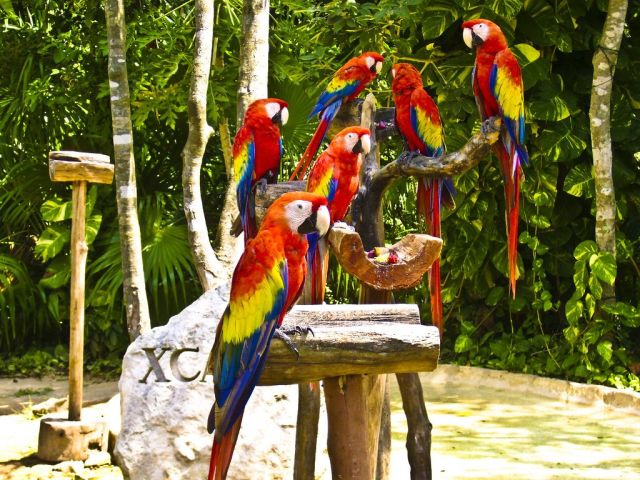 Pictures sent by users (53 pics)